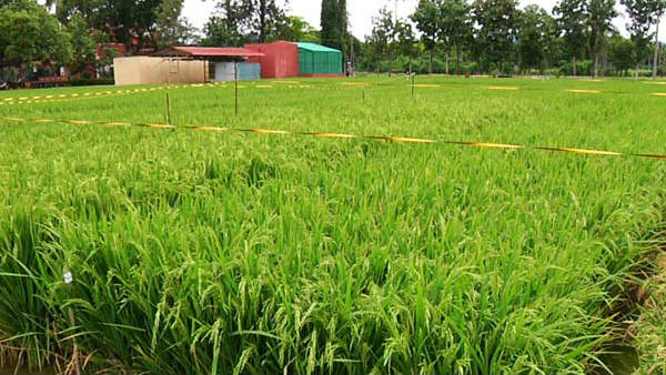 కృషి భాగ్య స్కాం ! కృషి భాగ్య స్కాం !