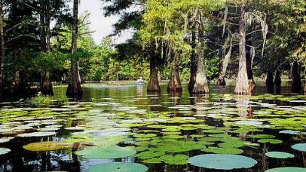 తొమ్మిది రోజుల్లో బయటపడే లక్షణాలు