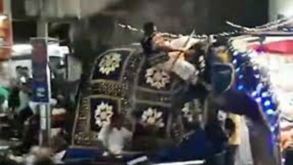 Elephants Out Of Control At Religious Festival, 17 Injured