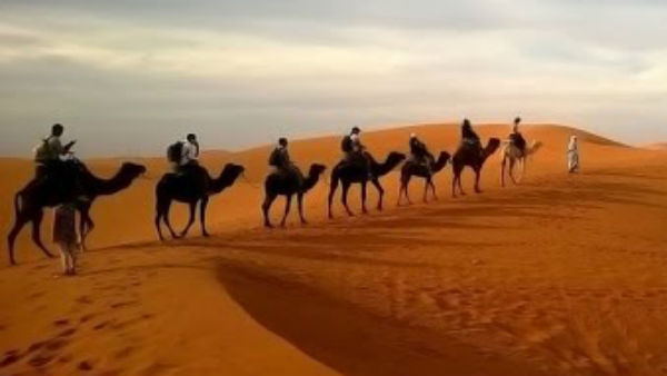 గల్ఫ్ ఉద్యోగాల పేరిట మోసం.. లక్షలు గుంజిన లేడీ కిలాడీ