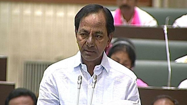 ఆసరాగా ఉంటాం.. ఆసరాగా ఉంటాం..