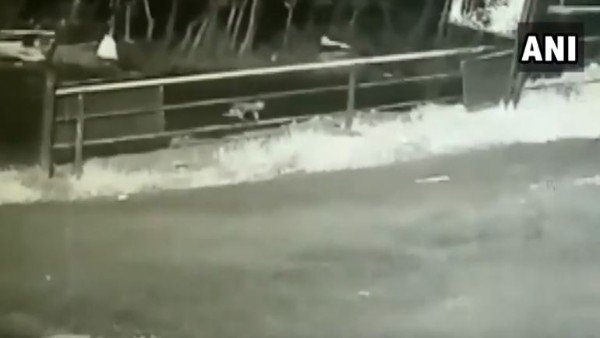 One year old baby falls out of car in Kerala, video goes viral One year old baby falls out of car in Kerala, video goes viral