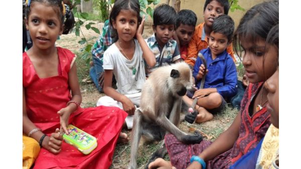 శనివారం వీధికుక్కల దాడిలో మృతి చెందిన లంగూర్ లక్ష్మీ