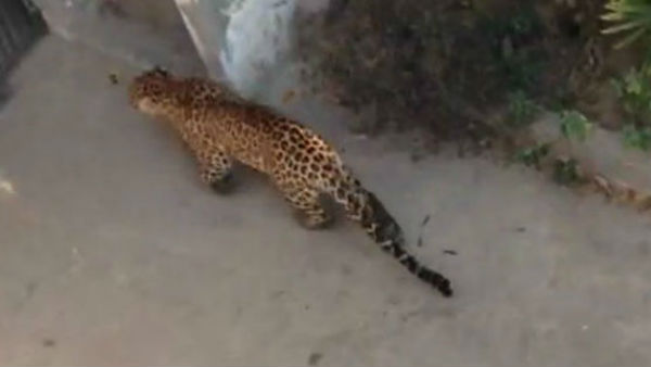  ఒళ్లు గగుర్పొడిచే ఘటన ..