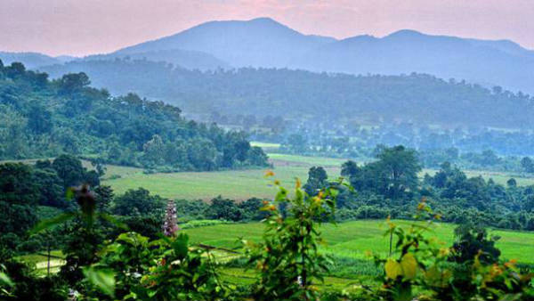 విశాఖ ఏజెన్సీ కేంద్రంగా గంజాయి దందా 