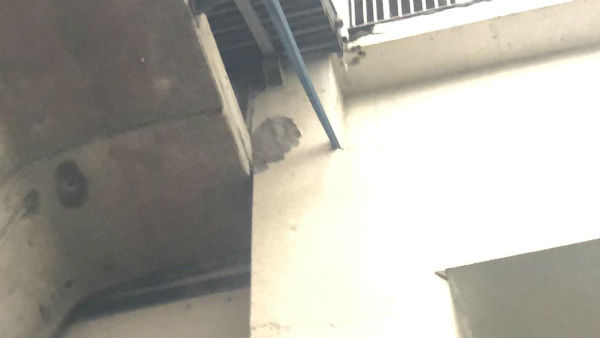 ఘటనపై విచారణ చేపట్టిన మెట్రో అధికారులు