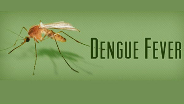 ప్రత్యేకంగా వైద్య చికిత్సలు