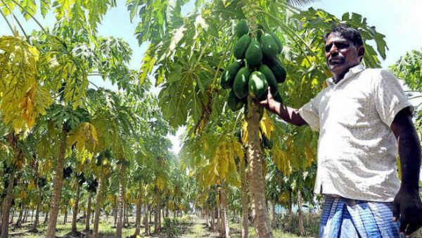 రైతులు, వ్యాపారుల మధ్య ఘర్షణ రైతులు, వ్యాపారుల మధ్య ఘర్షణ