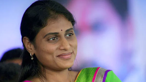 వైసీపీ కోసం కీలకంగా పని చేసిన రాజన్న బిడ్డ షర్మిల