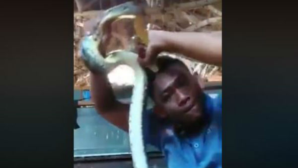 తలను పట్టుకుని..