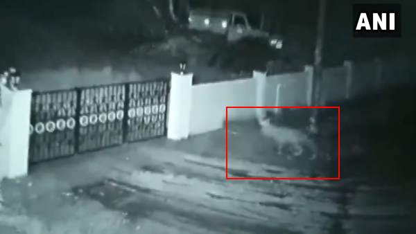 నెటిజన్ల సెటైర్లు ..