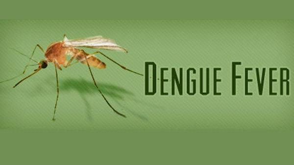 తెలంగాణలోనే డెంగ్యూ ఎందుకు ప్రబలుతోంది