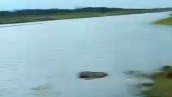 సెల్ఫీ కోసం వెళ్తే నాలుగు ప్రాణాలు పోయాయి..