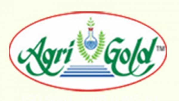 తొలిదశలో 264,99 కోట్ల రూపాయలు విడుదల