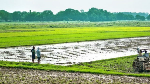 అక్రమ పట్టాల గుట్టు రట్టు.. రెవెన్యూ అధికారుల లీలలు అక్రమ పట్టాల గుట్టు రట్టు.. రెవెన్యూ అధికారుల లీలలు
