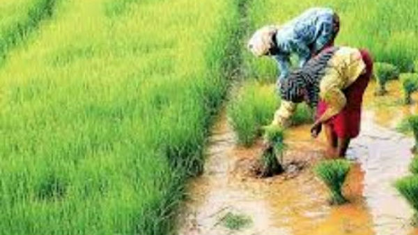 ఏసీబీ అధికారులకు రెవెన్యూ శాఖ సమగ్ర నివేదిక..! ఏసీబీ అధికారులకు రెవెన్యూ శాఖ సమగ్ర నివేదిక..!