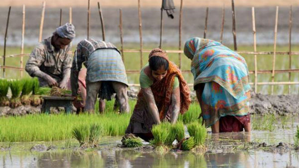 చందంపేట ఎమ్మార్వో కార్యాలయం కేంద్రంగా..! చందంపేట ఎమ్మార్వో కార్యాలయం కేంద్రంగా..!