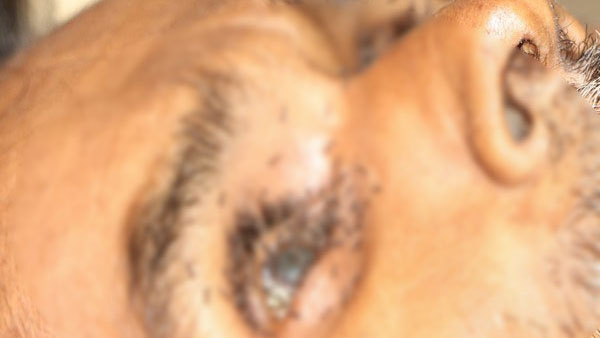  ట్రీట్‌మెంట్ కోసం వస్తే