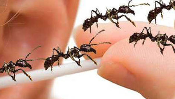 చూసి కూడా