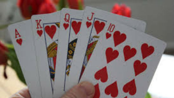 పేకాటలో ఆరితేరి.. ఏ ముక్కేదో ఇట్టే చెప్పేసి పేకాటలో ఆరితేరి.. ఏ ముక్కేదో ఇట్టే చెప్పేసి