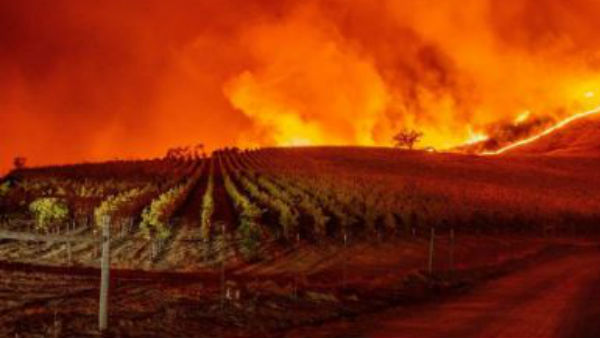 ఆర్నాల్డ్ సహా.. ప్రముఖులంతా..