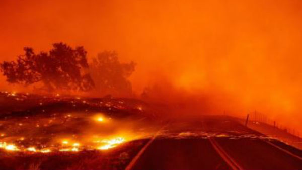 టెర్మినేటర్ ప్రీమియర్ రద్దు