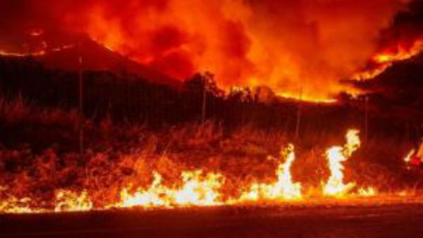 కాలిఫోర్నియా నుంచి లాస్ఏంజెల్స్ వరకు..