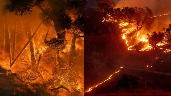 సురక్షిత ప్రాంతాలకు తరలాలంటూ ఆర్నాల్డ్ ట్వీట్