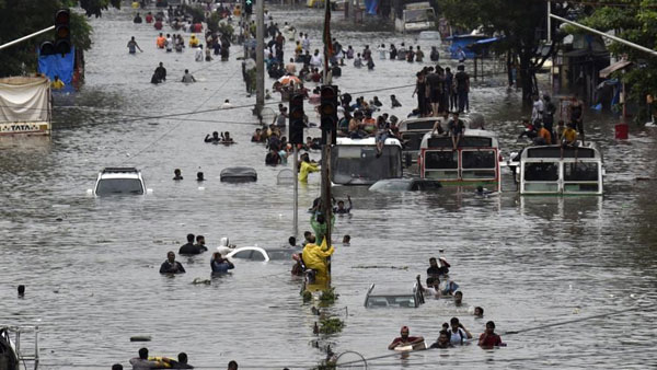 చెట్లను నరకొద్దు