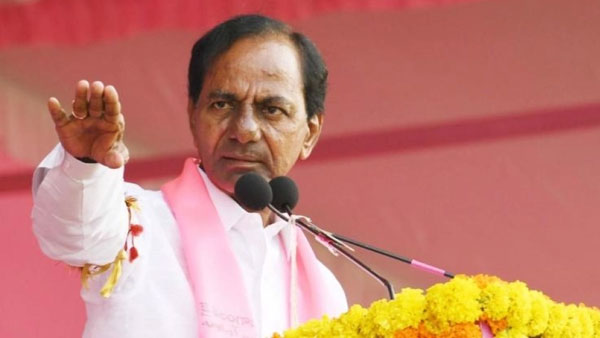 రాజకీయ శక్తిగా ఎదిగిన క్రమం