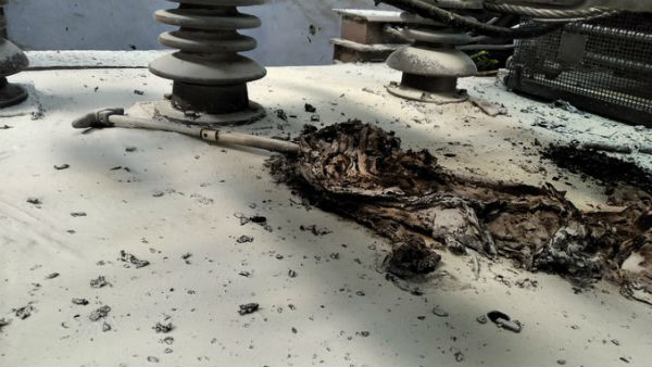 ఛత్రపతి శివాజీ టెర్మినస్...