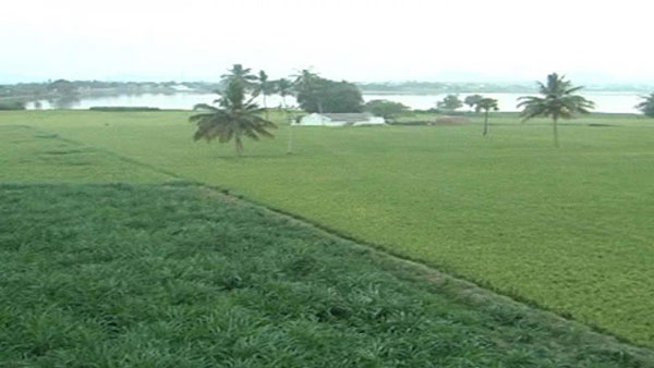 ఆయకట్టుపై ప్రభావం