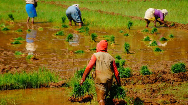 మరో వెయ్యి అదనం..మూడు విడతలుగా చెల్లింపులు..