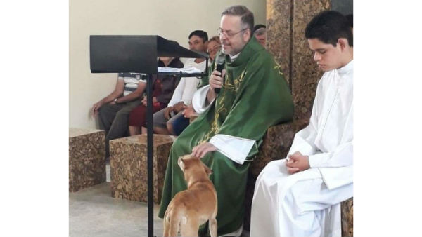 వీధి కుక్కలను దత్తత తీసుకున్న చర్చి సభ్యులు