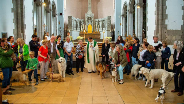 కుక్కల బాగోగుల బాధ్యత చర్చి తీసుకుంటుంది