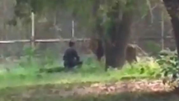 జూ లో హల్‌చల్