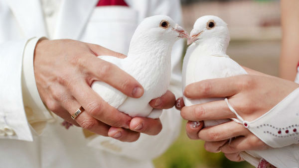  దిగిన మైకం..