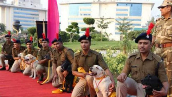 జాగిలాల రిటైర్మెంట్ ఫంక్షన్ ఘనంగా చేసిన సిఐఎస్ఎఫ్ అధికారులు