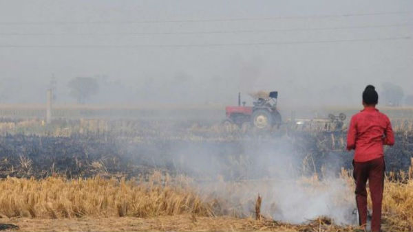 మీకు సిగ్గనిపించట్లేదా?