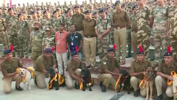 మెడలో పతకాలు వేసి మరీ సత్కారం .. కుక్కలుగా పుట్టినా సైనికులుగా పదవీవిరమణ 