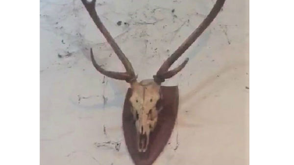  మైఖేల్ ఆస్తులు చూస్తే దిమ్మతిరుగుతుంది