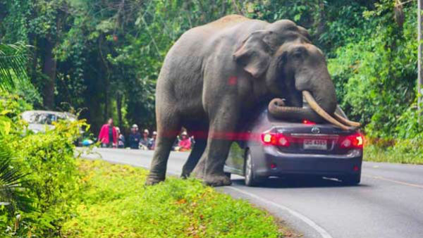 అందుకే ఒసామా బిన్ లాడెన్ అందుకే ఒసామా బిన్ లాడెన్
