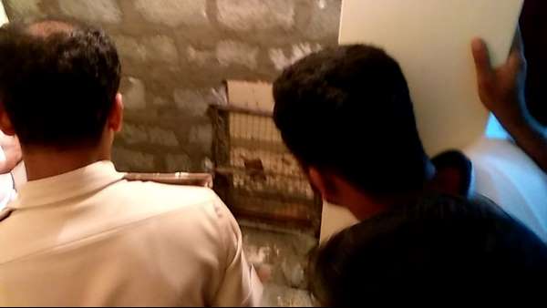 మైసూరు శివార్లలో!