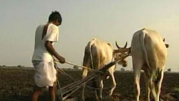 భూమి ఇవ్వకపోవడంతోనే భూమి ఇవ్వకపోవడంతోనే