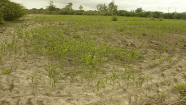 పగవాళ్లు కూడా మంచే చెప్తారు..?