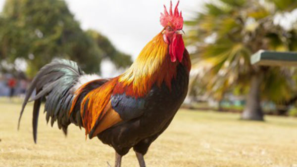 కమిటీ నిర్ణయం మేరకే లబ్ధి దారుల ఎంపిక