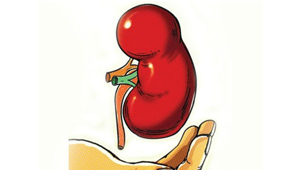 కిడ్నీ కిడ్నీ డ్యామేజ్ అయ్యే ఛాన్సెస్