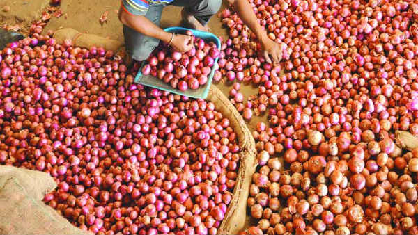 రూ.100 అయినా సరే పెట్టి కొనాల్సిందే