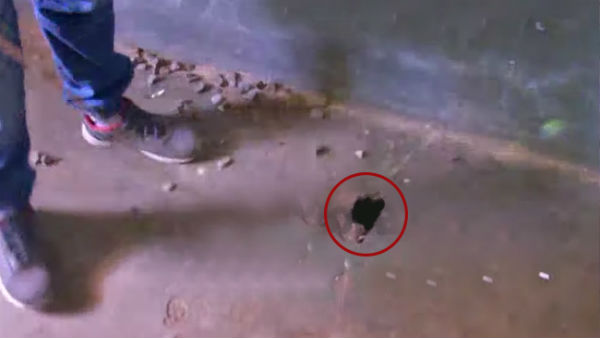 9-year-old girl student Sherlin dies of snakebite in Wayanad of Kerala