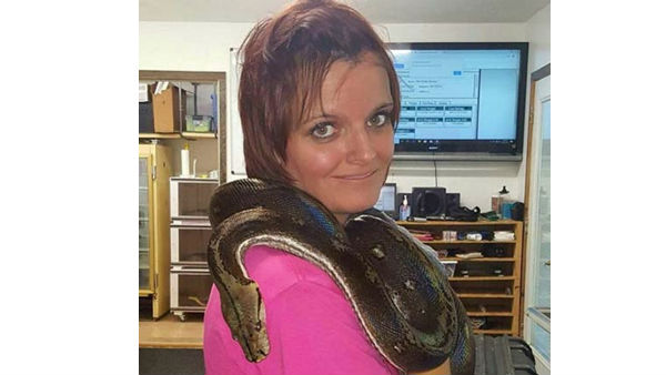 ఆ ఇళ్లు పాముల పుట్ట